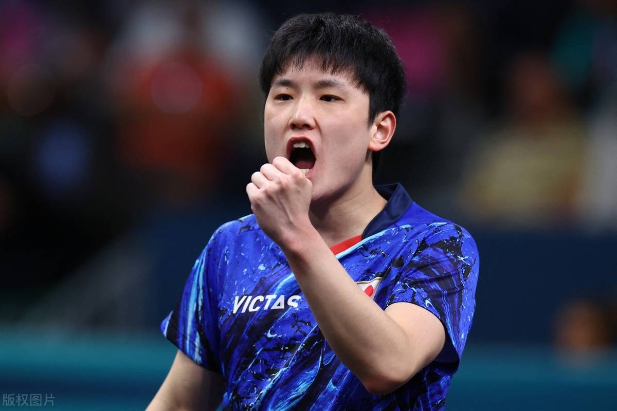 包含奥地利乒乓球队绝杀比利时乒乓球队，张本智和高光表现的词条