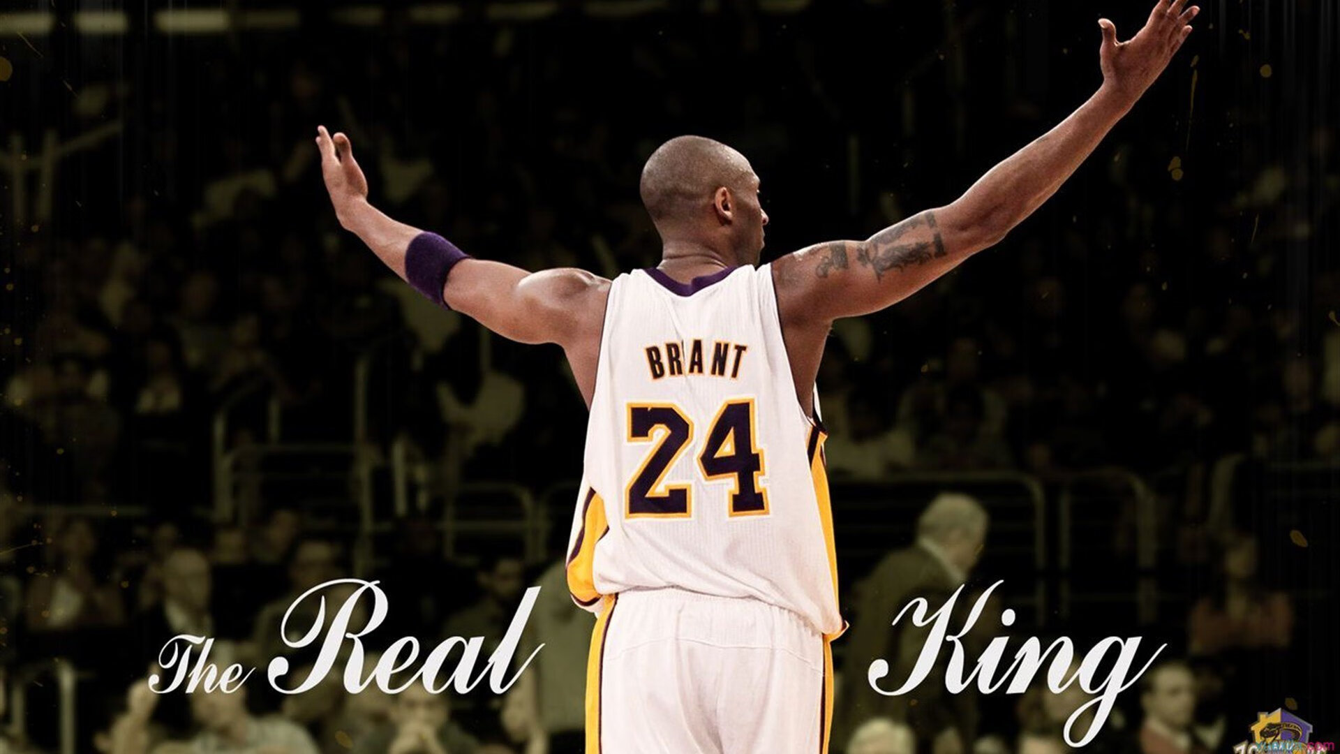 意甲焦点战与爵士篮网鏖战,体育之夜的激情交响